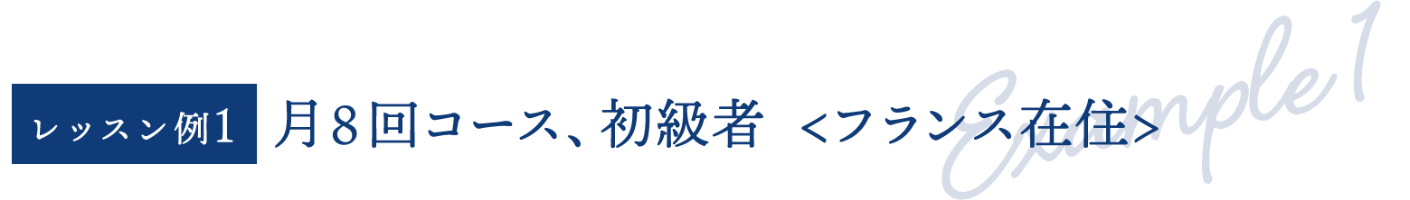 月8回コース、初心者（フランス在住）