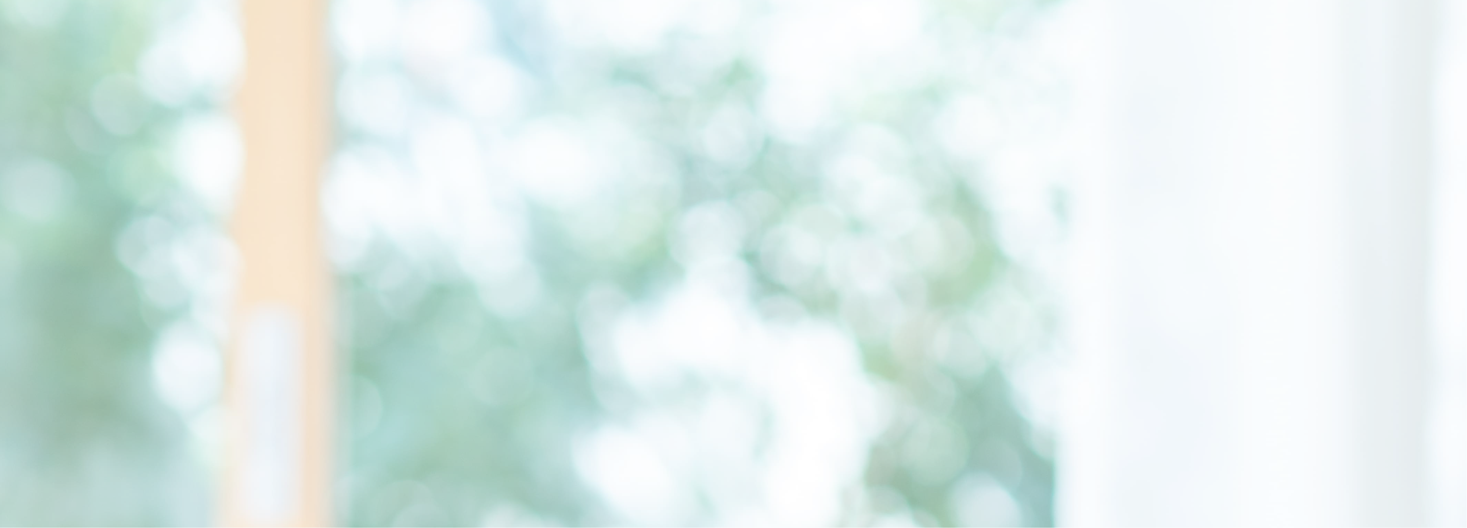 オンラインフランス語学校ユーザー登録